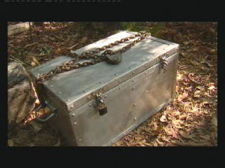 I'm a Celebity - Get Me Outta Here