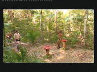 I'm a Celebity - Get Me Outta Here