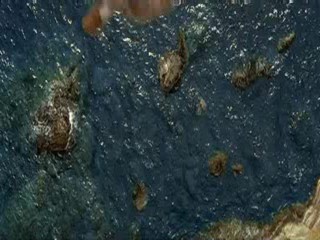 Pirates of the Carribean