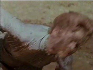 Second Time Around, The