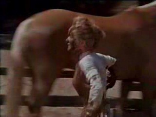 Second Time Around, The