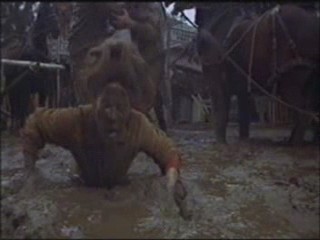 Support Your Local Sheriff