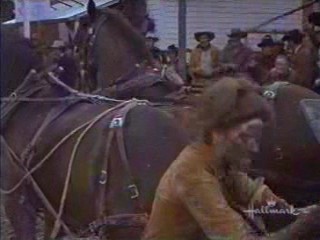 Support Your Local Sheriff