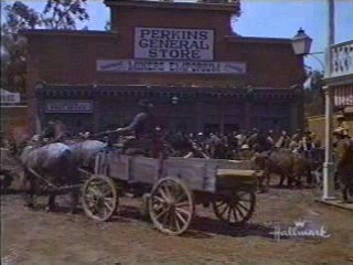 Support Your Local Sheriff