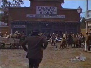 Support Your Local Sheriff