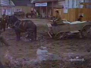 Support Your Local Sheriff