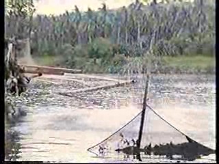 Born to Fight,  Target commercial