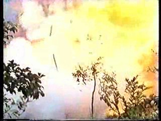 Born to Fight,  Target commercial