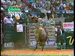 Sports Machine,  Invasion of the Bee Girls