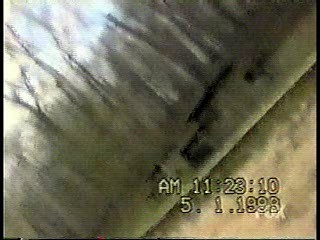 America's Funniest Videos,  Guiding Light