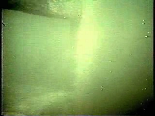 Tarzan (1968 tv series)