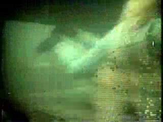 Tarzan (1968 tv series)