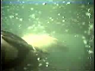 Tarzan (1968 tv series)