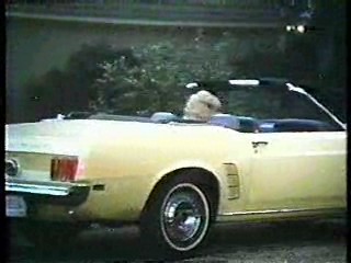 Harper Valley PTA,,  Tarzan TV series