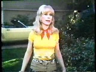 Harper Valley PTA,,  Tarzan TV series