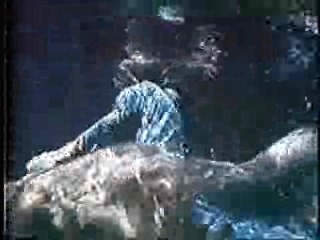 Harper Valley PTA,,  Tarzan TV series