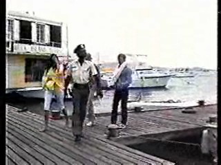 Greatest American Hero,  CHiPs