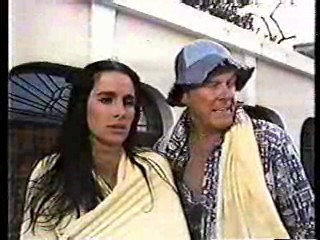 Greatest American Hero,  CHiPs