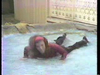 New Zoo Review,  Too Close for Comfort,  Alice