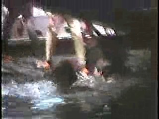 Salty,  Tales of the Gold Monkey,