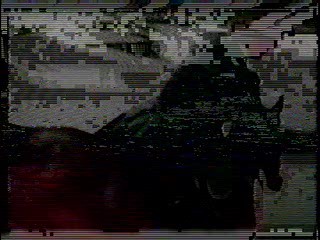 The Irish R.M.,   The Truth About Spring