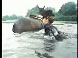 The Irish R.M.,   The Truth About Spring