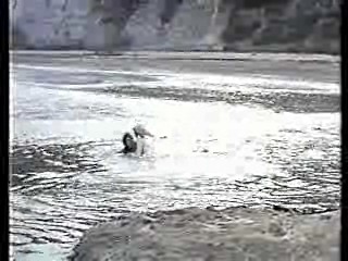 Hardcastle & McCormick,  Knight Rider,