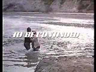 Hardcastle & McCormick,  Knight Rider,