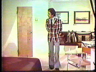 The Love Boat - the movie