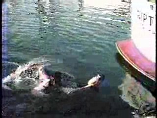 Real People,  Ernie Kovacs,  Riptide