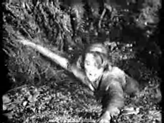 Saturday Night Live,  Tarzan's Hidden Jungle