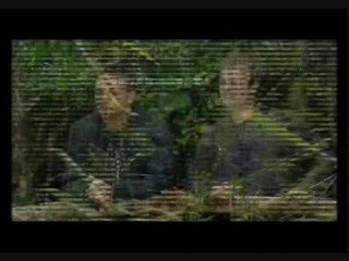 I'm A Celbrity (Get Me Out Of Here) 2008