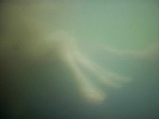 Carl Orff - Carmina Burana