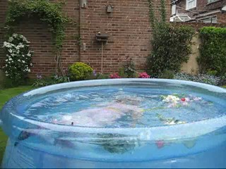 Wetmar White and Pink Movie