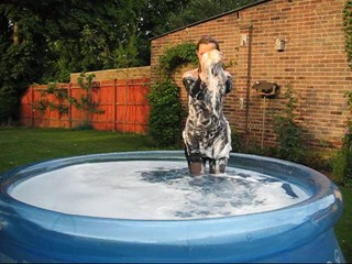 Wetmar - Sexy black dress