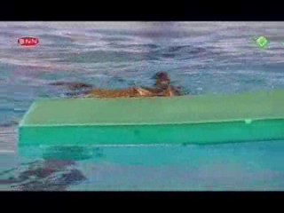 Katja versus de rest