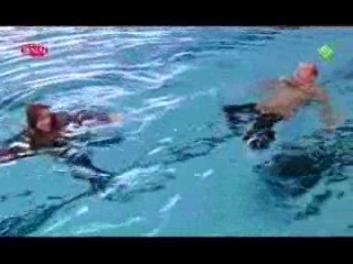 Katja versus de rest