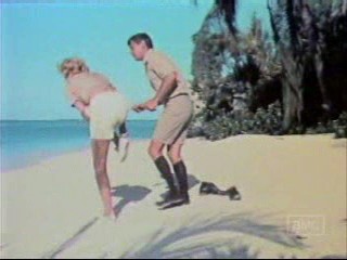 Operation Petticoat