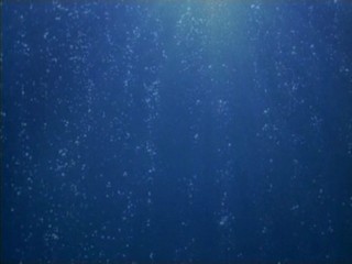 Voeslauer commercial