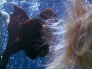 Voeslauer commercial