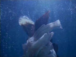 Voeslauer commercial