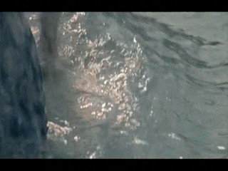 Interspar commercial