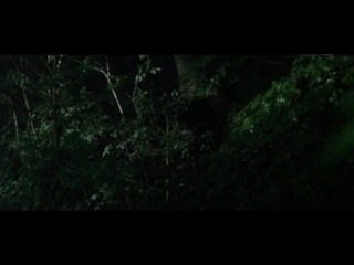 Wer frÃ¼her stirbt ist lÃ¤nger tot