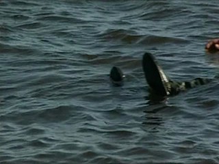 Sea Diablos (season 3)