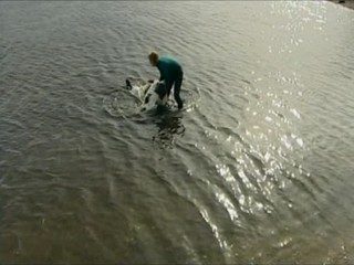 Sea Diablos (season 3)