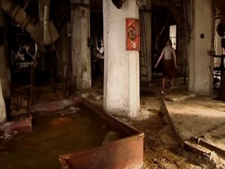 Seven Wives of One Bachelor