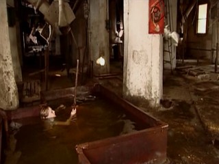 Seven Wives of One Bachelor