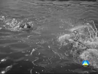 The Story of Vernon and Irene Castle