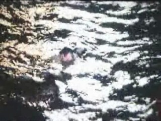 Miss Congeniality 2: Armed and Fabulous