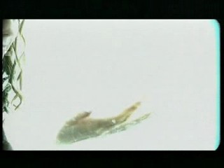 TATU - All the things she said